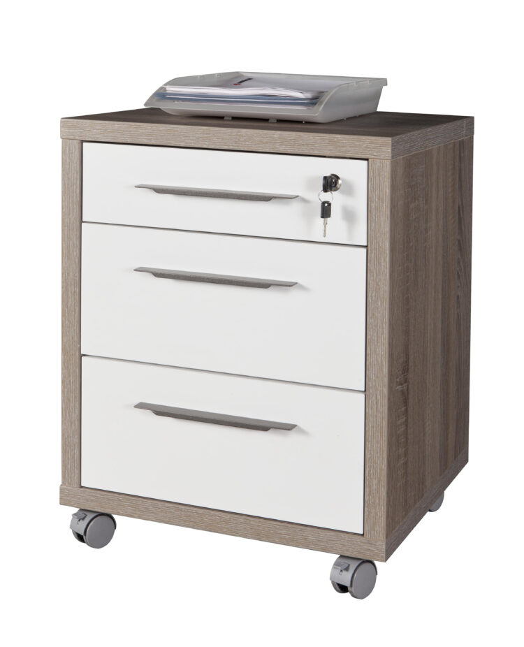 DISEGNO CASSETTIERA 3C ROV/BI CM 45X48,5X63H