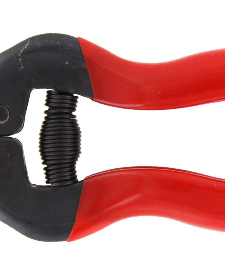 FORBICI PER UVA LAME DRITTE CORTE RIF.21110
