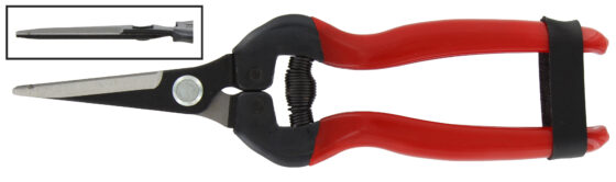 FORBICI PER UVA LAME DRITTE LUNGHE RIF.21110