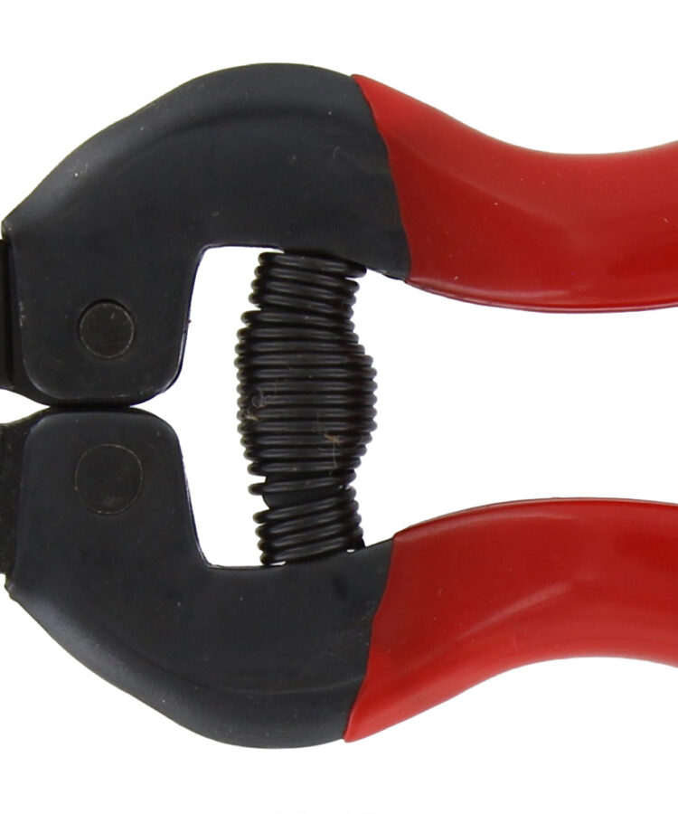 FORBICI PER UVA LAME DRITTE LUNGHE RIF.21110